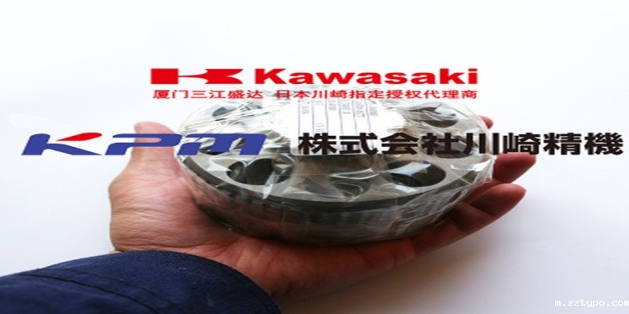 回转马达缸体泵胆(M2X63)